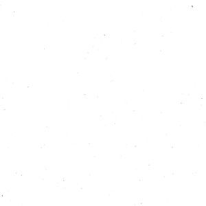 Meet your Posher, Bailey